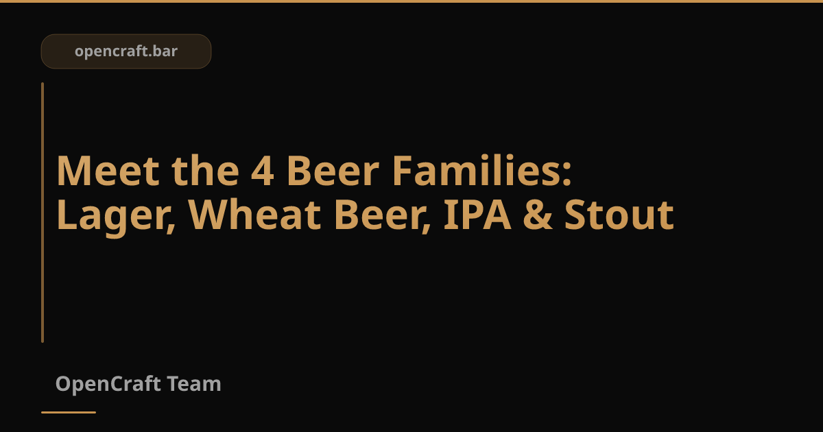 รู้จัก 4 บ้านใหญ่ของเบียร์: Lager, Wheat Beer, IPA และ Stout